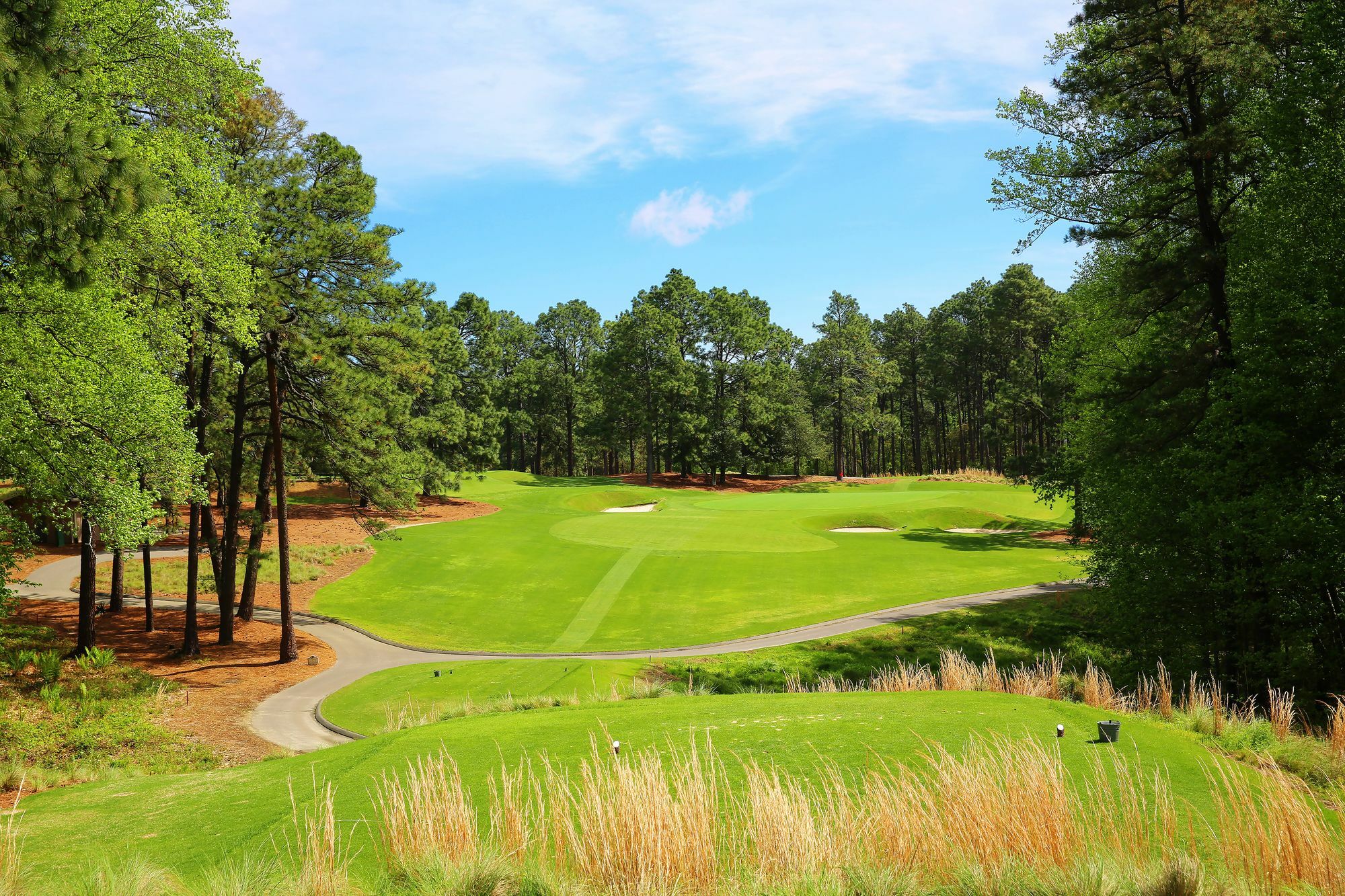Pine Needles Lodge & Golf Club 南派恩斯 外观 照片